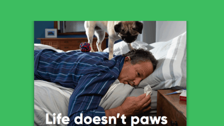 Posters: Life Doesn’t Paws When You’re Sick